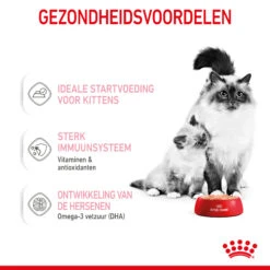 Royal Canin Mother & Babycat Mousse - Kattenvoer -Beste Dierenartikelen Winkel royal canin mother babycat mousse kattenvoer 207053 2000 none