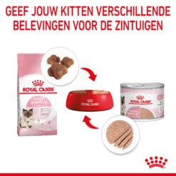 Royal Canin Mother & Babycat Mousse - Kattenvoer -Beste Dierenartikelen Winkel royal canin mother babycat mousse kattenvoer 207056 2000 none