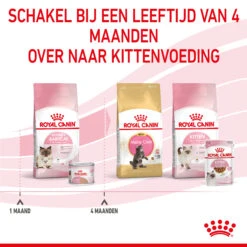 Royal Canin Mother & Babycat Mousse - Kattenvoer -Beste Dierenartikelen Winkel royal canin mother babycat mousse kattenvoer 207065 2000 none