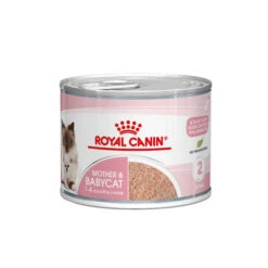 Royal Canin Mother & Babycat Mousse - Kattenvoer -Beste Dierenartikelen Winkel royal canin mother babycat mousse kattenvoer 207077 2000 none