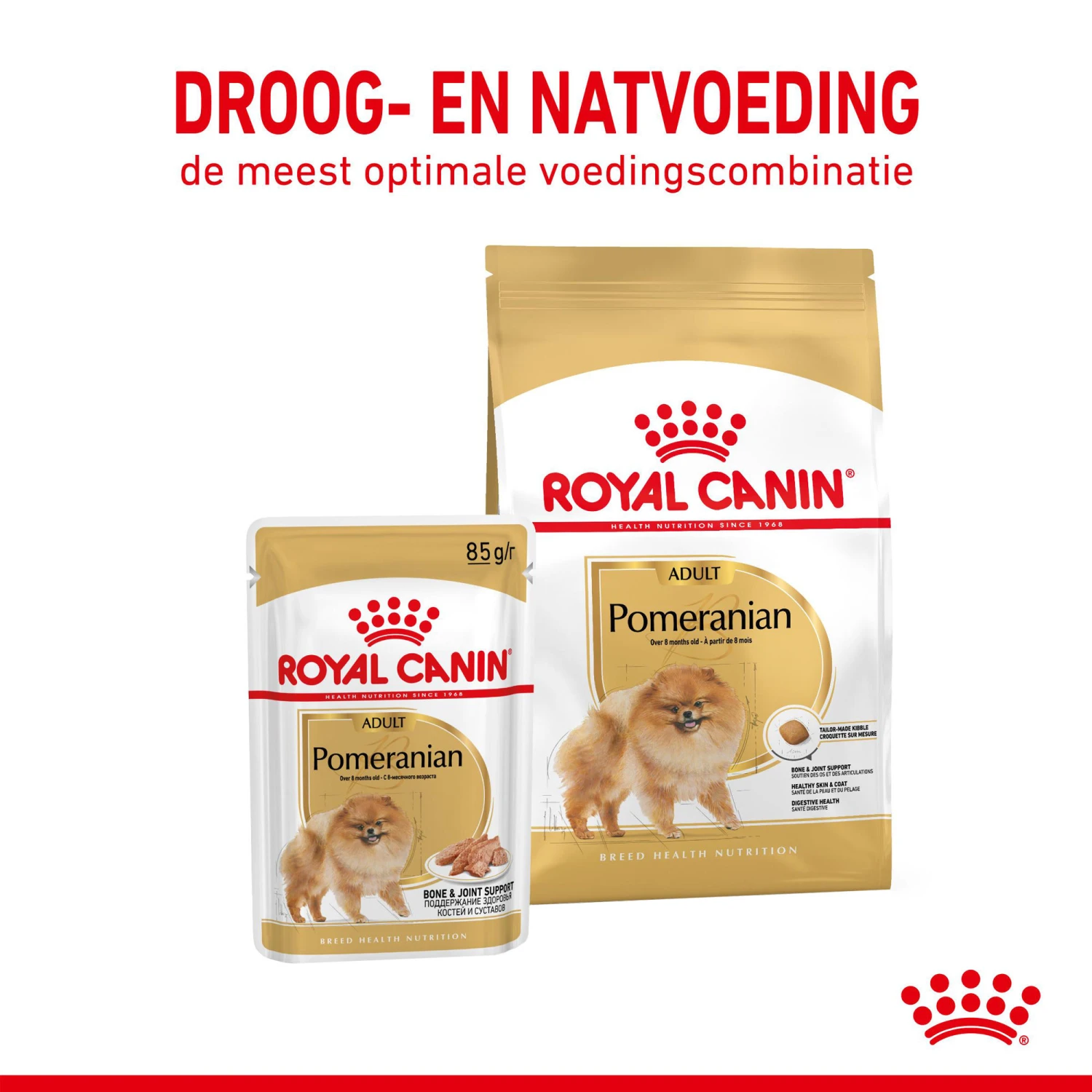Royal Canin Pomeranian Adult - Hondenvoer 5 Royal Canin Pomeranian Adult - Hondenvoer - Afbeelding 5