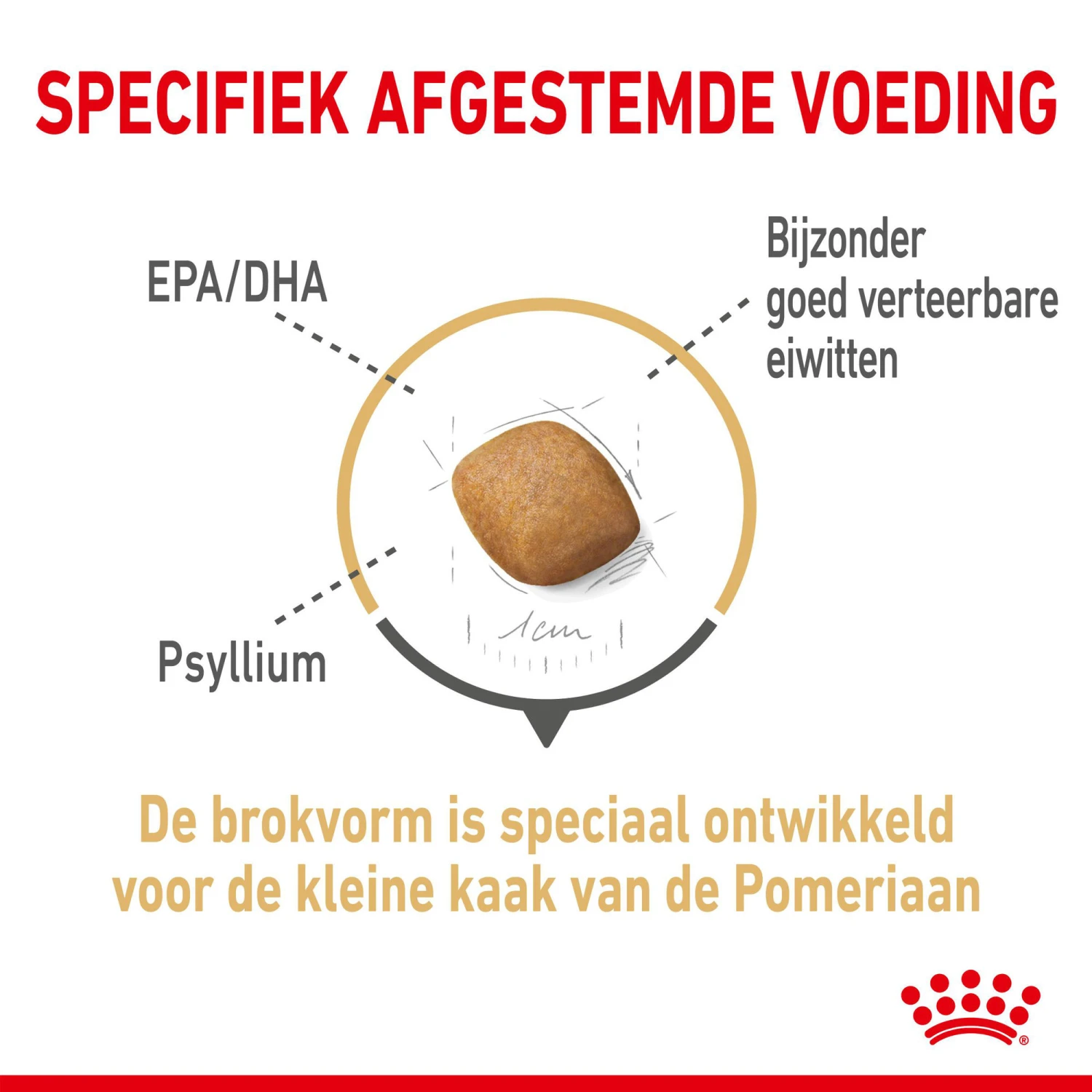 Royal Canin Pomeranian Adult - Hondenvoer 6 Royal Canin Pomeranian Adult - Hondenvoer - Afbeelding 6