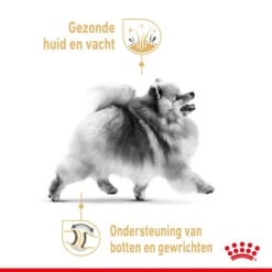 Royal Canin Pomeranian Adult - Hondenvoer 14 Royal Canin Pomeranian Adult - Hondenvoer -Beste Dierenartikelen Winkel royal canin pomeranian adult hondenvoer 168921 2000 none