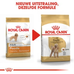 Royal Canin Poodle Adult - Hondenvoer 16 Royal Canin Poodle Adult - Hondenvoer -Beste Dierenartikelen Winkel royal canin poodle adult hondenvoer 139696 1000 none