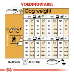 Royal Canin Poodle Adult - Hondenvoer 17 Royal Canin Poodle Adult - Hondenvoer -Beste Dierenartikelen Winkel royal canin poodle adult hondenvoer 139705 1000 none