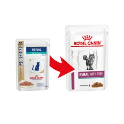 Royal Canin Renal Kat - Maaltijdzakje -Beste Dierenartikelen Winkel royal canin renal kat 164563 1000 none