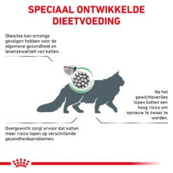 Royal Canin Satiety Weight Management Kat - Maaltijdzakje -Beste Dierenartikelen Winkel royal canin satiety weight management kat 156740 2000 none