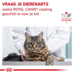 Royal Canin Satiety Weight Management Kat - Maaltijdzakje -Beste Dierenartikelen Winkel royal canin satiety weight management kat 156758 2000 none