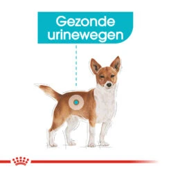 Royal Canin Urinary Care Wet - Hondenvoer 13 Royal Canin Urinary Care Wet - Hondenvoer -Beste Dierenartikelen Winkel royal canin urinary care wet hondenvoer 131930 1000 none