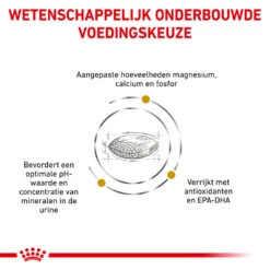 Royal Canin Urinary S/O Hond 22 Royal Canin Urinary S/O Hond -Beste Dierenartikelen Winkel royal canin urinary so hond 153679 1000 none