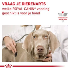 Royal Canin Urinary S/O Hond - Blik 15 Royal Canin Urinary S/O Hond - Blik -Beste Dierenartikelen Winkel royal canin urinary so hond 153688 1000 none 1
