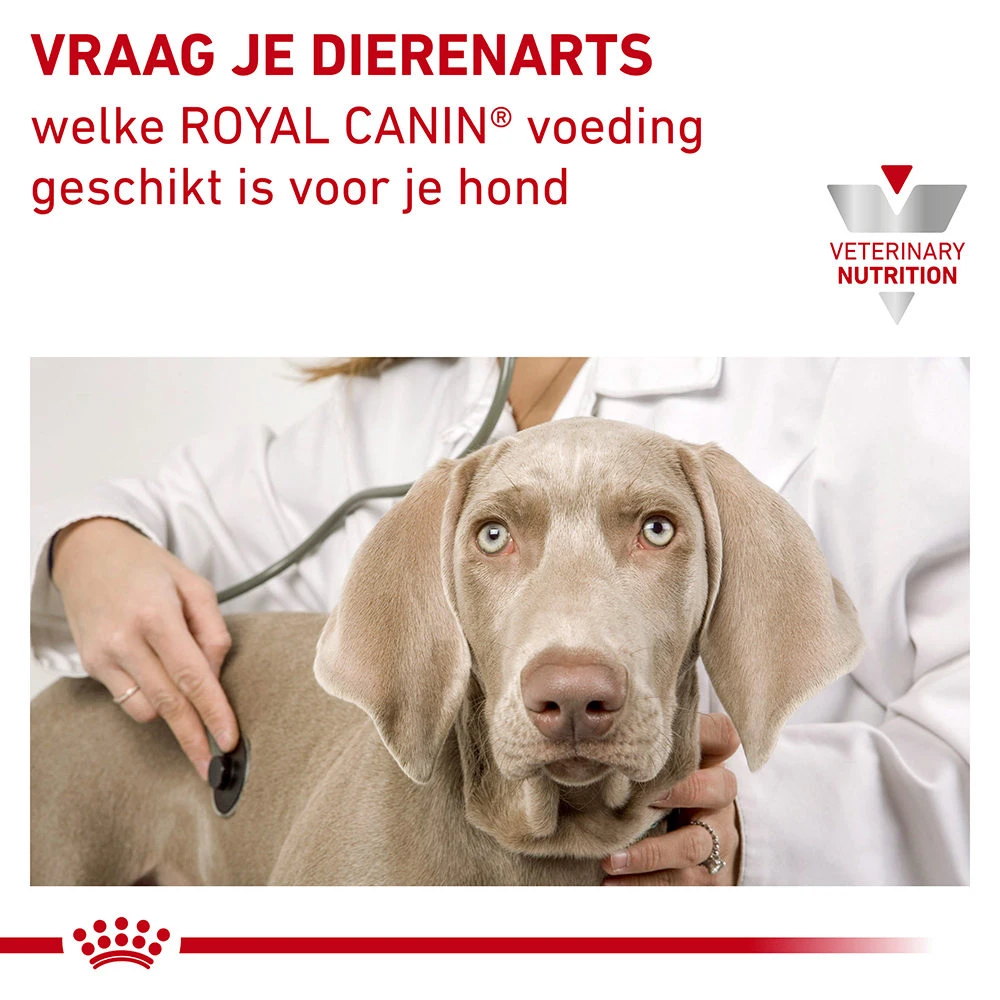Royal Canin Urinary S/O Hond - Blik 8 Royal Canin Urinary S/O Hond - Blik - Afbeelding 8