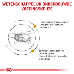 Royal Canin Urinary S/O Kat 20 Royal Canin Urinary S/O Kat -Beste Dierenartikelen Winkel royal canin urinary so kat 153808 1000 none