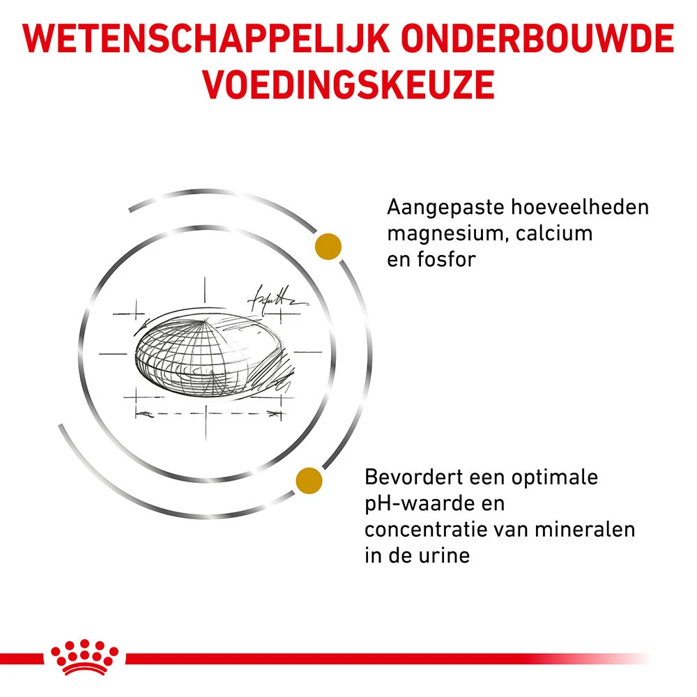 Royal Canin Urinary S/O Kat 10 Royal Canin Urinary S/O Kat - Afbeelding 10