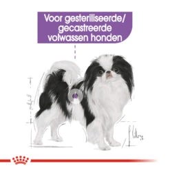 Royal Canin X-Small Sterilised - Hondenvoer -Beste Dierenartikelen Winkel royal canin x small sterilised hondenvoer 143399 1000 none