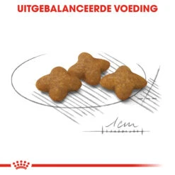Royal Canin X-Small Sterilised - Hondenvoer -Beste Dierenartikelen Winkel royal canin x small sterilised hondenvoer 143417 1000 none