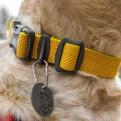 Ruffwear Hi & Light Collar -Beste Dierenartikelen Winkel ruffwear hi light collar 194258 1000 none