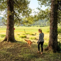 Ruffwear Knot-a-Hitch -Beste Dierenartikelen Winkel ruffwear knot a hitch 124643 0500 none