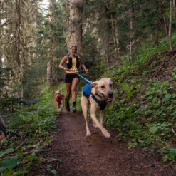 Ruffwear Roamer Leash - Blue Atoll -Beste Dierenartikelen Winkel ruffwear roamer leash blue atoll 204797 0500 none