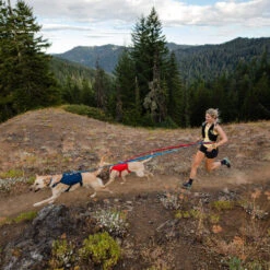 Ruffwear Roamer Leash - Blue Atoll -Beste Dierenartikelen Winkel ruffwear roamer leash blue atoll 204800 0500 none