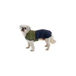 Ruffwear Sun Shower Rain Jacket -Beste Dierenartikelen Winkel ruffwear sun shower rain jacket 219563 1000 none