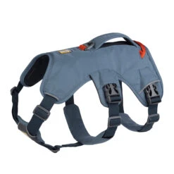 Ruffwear Webmaster Harness 23 Ruffwear Webmaster Harness -Beste Dierenartikelen Winkel ruffwear web master harness lxl slate blue 133869 2000 none