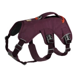 Ruffwear Webmaster Harness 28 Ruffwear Webmaster Harness -Beste Dierenartikelen Winkel ruffwear web master harness xs purple rain 133858 2000 none