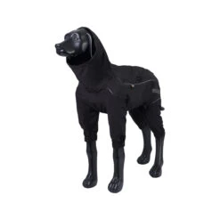 RukkaPets Protect Overall Zwart -Beste Dierenartikelen Winkel rukkapets protect overall zwart 216397 2000 none