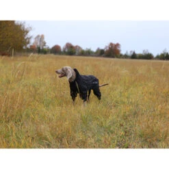 RukkaPets Protect Overall Zwart -Beste Dierenartikelen Winkel rukkapets protect overall zwart 216401 2000 none