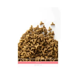 SANIMED Adult Cat -Beste Dierenartikelen Winkel sanimed adult cat 159182 1500 none