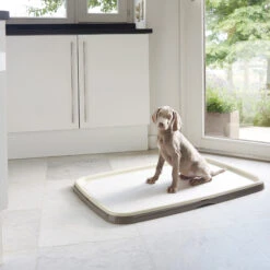 Savic Puppy Trainer + Pads -Beste Dierenartikelen Winkel savic puppy trainer pads 163498 2000 none