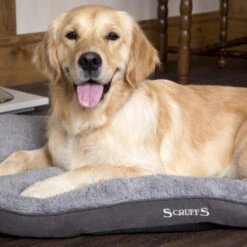 Boneguard Rawhide Bones -Beste Dierenartikelen Winkel scruffs cosy mattress 209363 1500 none