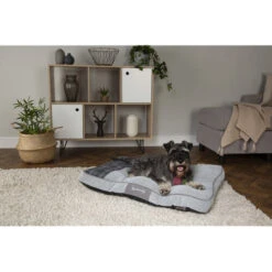 Scruffs Highland Matras 8 Scruffs Highland Matras -Beste Dierenartikelen Winkel scruffs highland matras 197465 0500 none