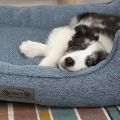 Boneguard Rawhide Bones -Beste Dierenartikelen Winkel scruffs manhattan box bed 209510 1500 none