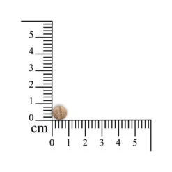 Sensipharm Gastro Entero Comfort -Beste Dierenartikelen Winkel sensipharm gastro entero comfort 174637 1000 none