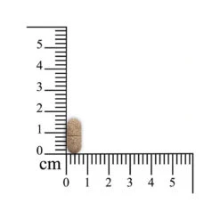 Sensipharm Smooth Locomotion - Paard -Beste Dierenartikelen Winkel sensipharm smooth locomotion paard 174865 1000 none