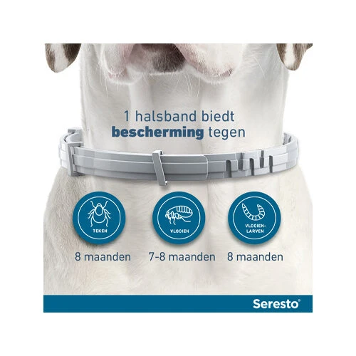 Seresto Hond 14 Seresto Hond - Afbeelding 14