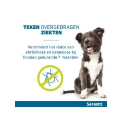 Seresto Hond 31 Seresto Hond -Beste Dierenartikelen Winkel seresto hond 174109 0500 none