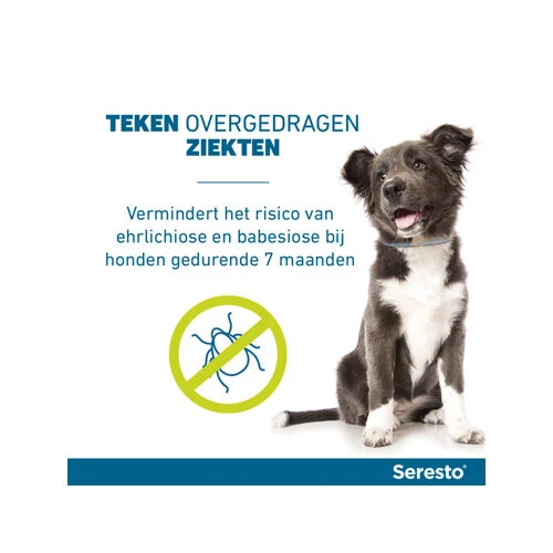 Seresto Hond 12 Seresto Hond - Afbeelding 12