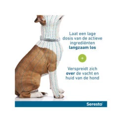Seresto Hond 36 Seresto Hond -Beste Dierenartikelen Winkel seresto hond 174112 0500 none