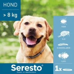 Seresto Hond 29 Seresto Hond -Beste Dierenartikelen Winkel seresto hond 180928 1000 none