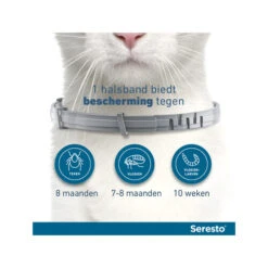 Seresto Kat 13 Seresto Kat -Beste Dierenartikelen Winkel seresto kat 174145 0500 none