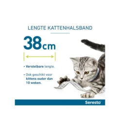 Seresto Kat 14 Seresto Kat -Beste Dierenartikelen Winkel seresto kat 174148 0500 none