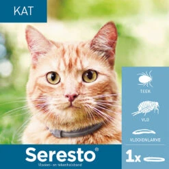 Seresto Kat 12 Seresto Kat -Beste Dierenartikelen Winkel seresto kat 182296 1000 none