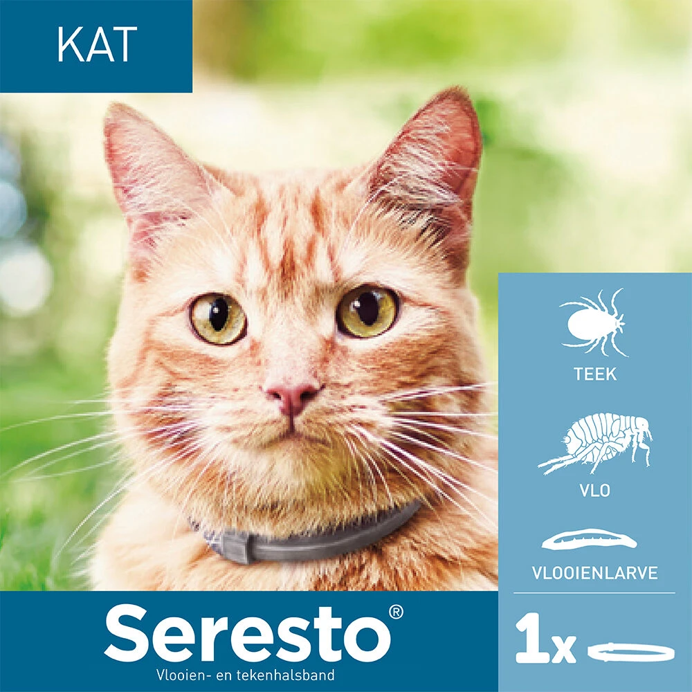 Seresto Kat 3 Seresto Kat - Afbeelding 3