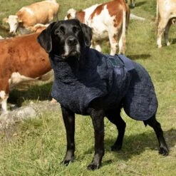 Siccaro WetDog SupremePro 2.0 -Beste Dierenartikelen Winkel siccaro wetdog supremepro 190159 1000 none