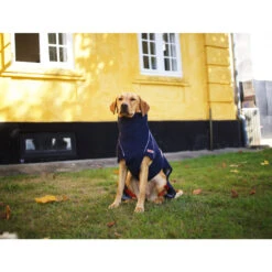 Siccaro WetDog SupremePro 2.0 -Beste Dierenartikelen Winkel siccaro wetdog supremepro 20 216994 2000 none