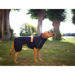 Siccaro WetDog SupremePro 2.0 -Beste Dierenartikelen Winkel siccaro wetdog supremepro 20 216995 2000 none