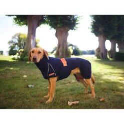 Siccaro WetDog SupremePro 2.0 -Beste Dierenartikelen Winkel siccaro wetdog supremepro 20 216996 2000 none