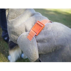 Siccaro WetDog SupremePro 2.0 -Beste Dierenartikelen Winkel siccaro wetdog supremepro 20 216999 2000 none